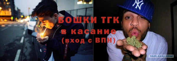 прущие грибы Бугульма