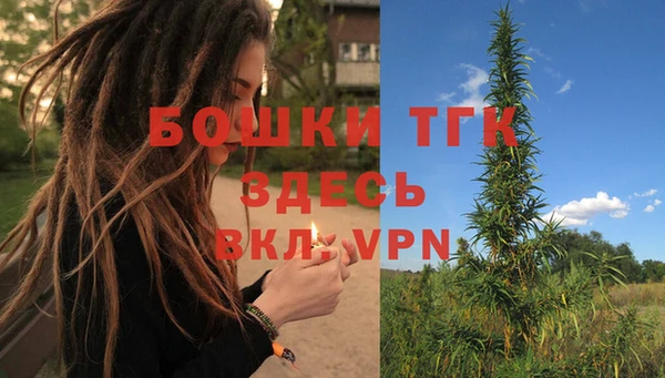 прущие грибы Бугульма
