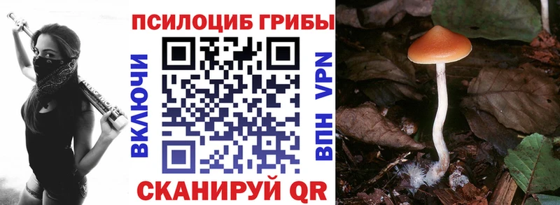 Купить где  Усмань  Галлюциногенные грибы GOLDEN TEACHER 